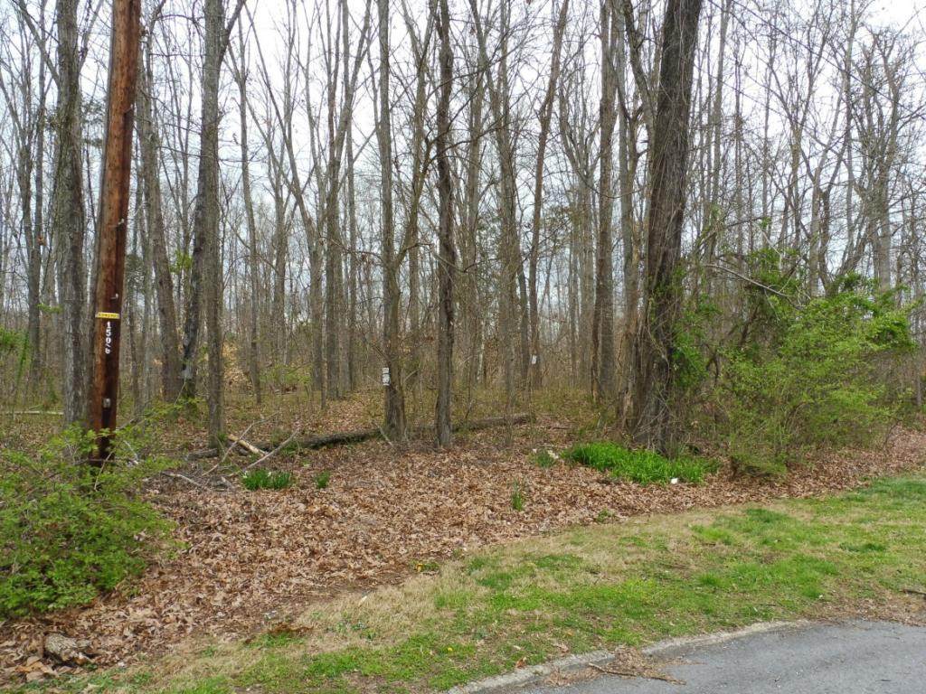 0 Briarwood Drive - Photo 1