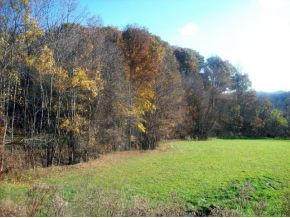 Tbd Powder Hollow Road Road - Photo 1