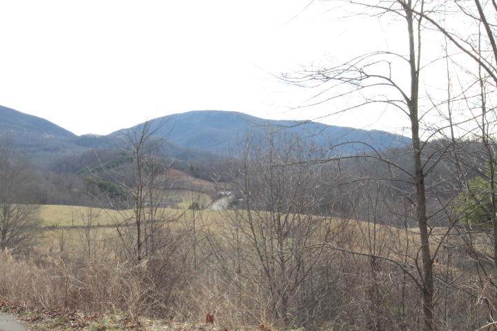 000 Of Highway 421 - Photo 1