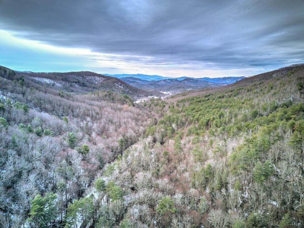 1600 Viking Mtn Road - Photo 1