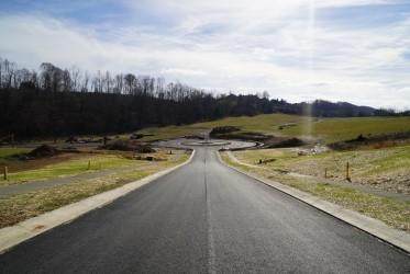 Lot 4 Boone Station Rd. - Photo 1