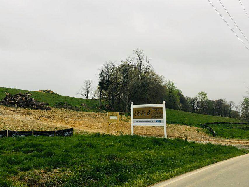 Lot 6 Boone Station Road - Photo 1