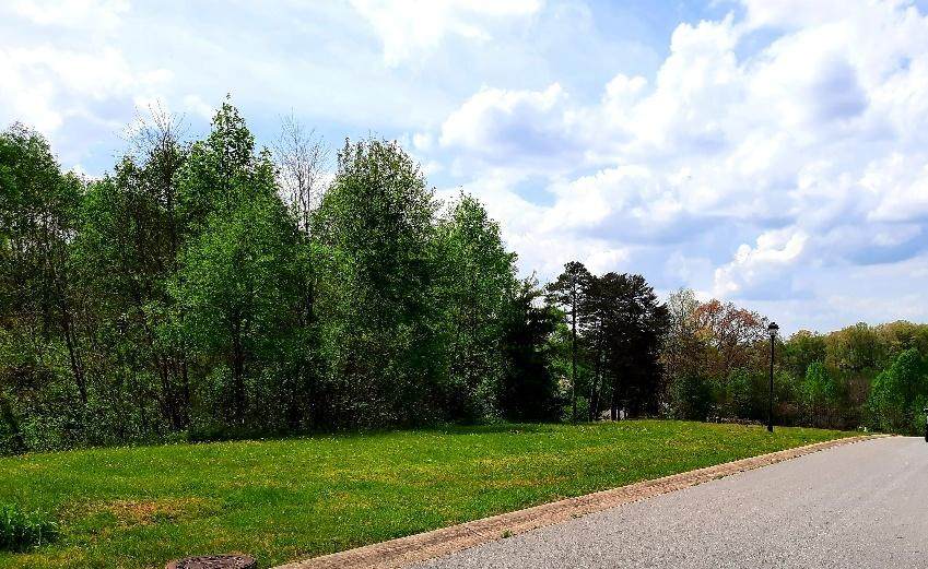 45 Fountain (Lot #1) Court - Photo 1