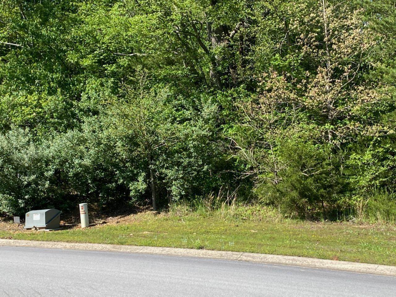 00 River Pointe Dr Lot 59 - Photo 1