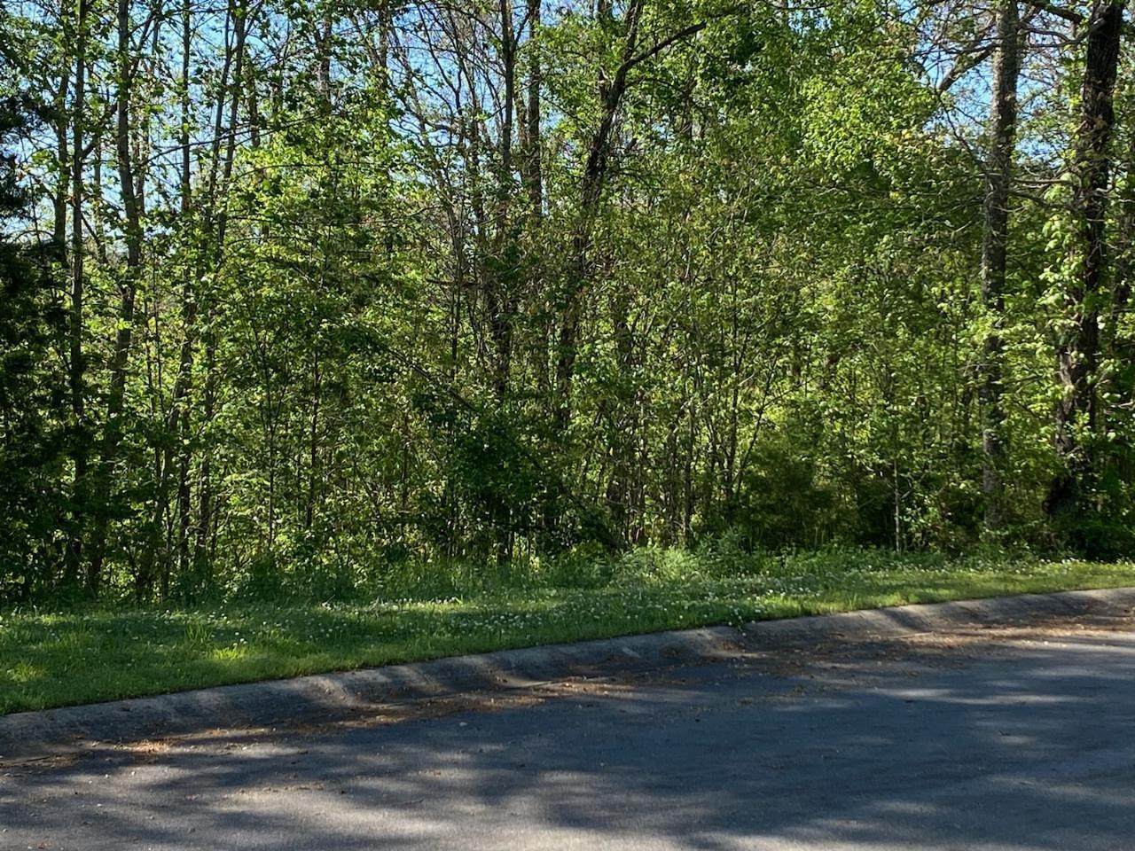 00 Links View Dr Lot 24 - Photo 1