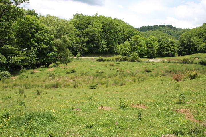 000 Michael Road - Photo 1