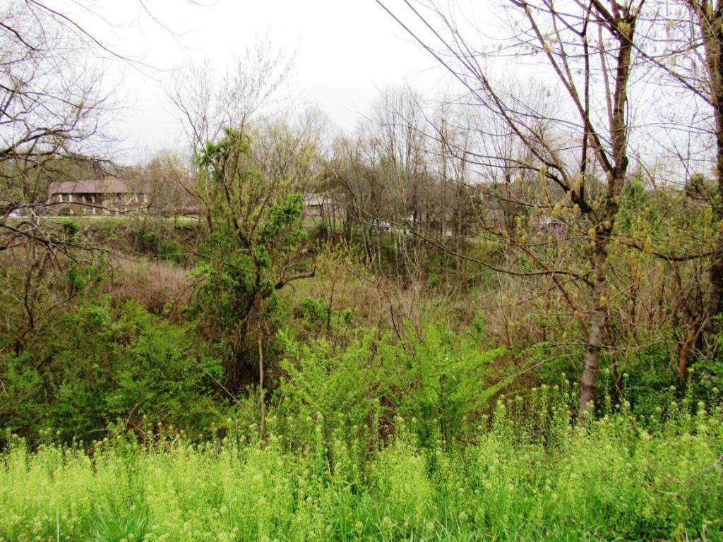 Tbd Whispering Hills Dr/Sedgefield - Photo 1