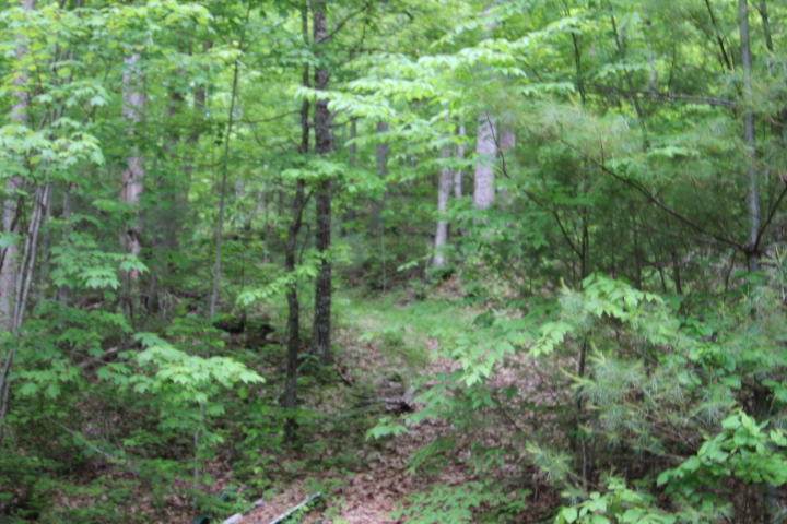 000 Millard Cooper Lane - Photo 1