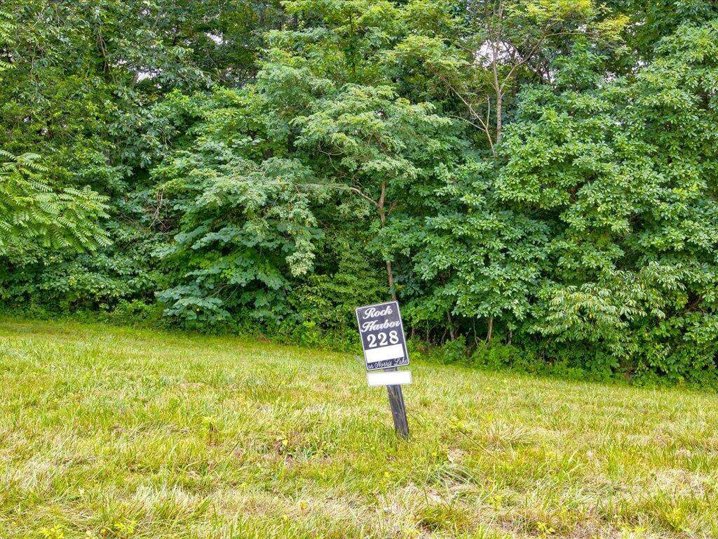 Lot 228 Jade Lane - Photo 1