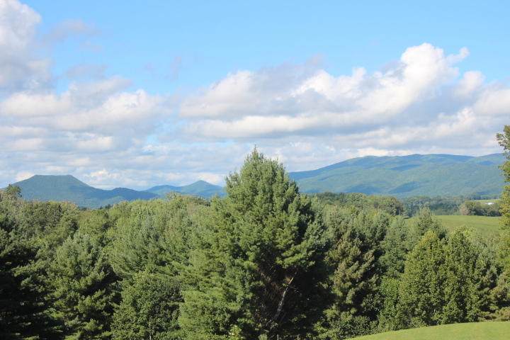 000 Laurel Way, Lot #46 - Photo 1