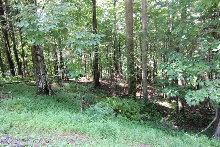 000 Laurelwood Lane, Lot #11 - Photo 1