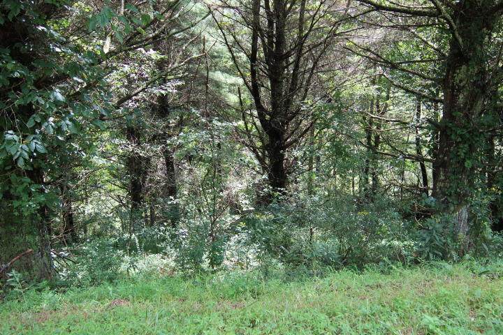 000 Laurelwood Lane, Lot 9 - Photo 1