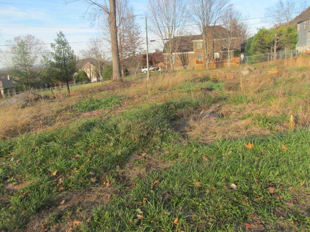 516 Hickory Tree Private Drive - Photo 1