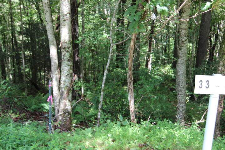 000 Laurelwood Drive, Lot #33 - Photo 1