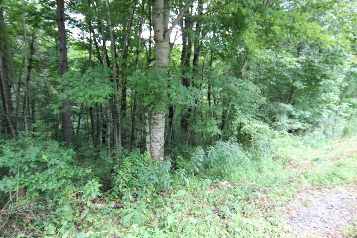 000 Laurelwood Drive, Lot #34 - Photo 1