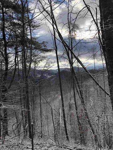 00 Hwy 421 - Photo 1