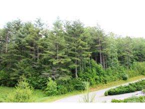 000 Laurelwood Lane, Lot #23 - Photo 1