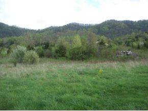 Tbd Nancy Bailey Rd - Photo 1