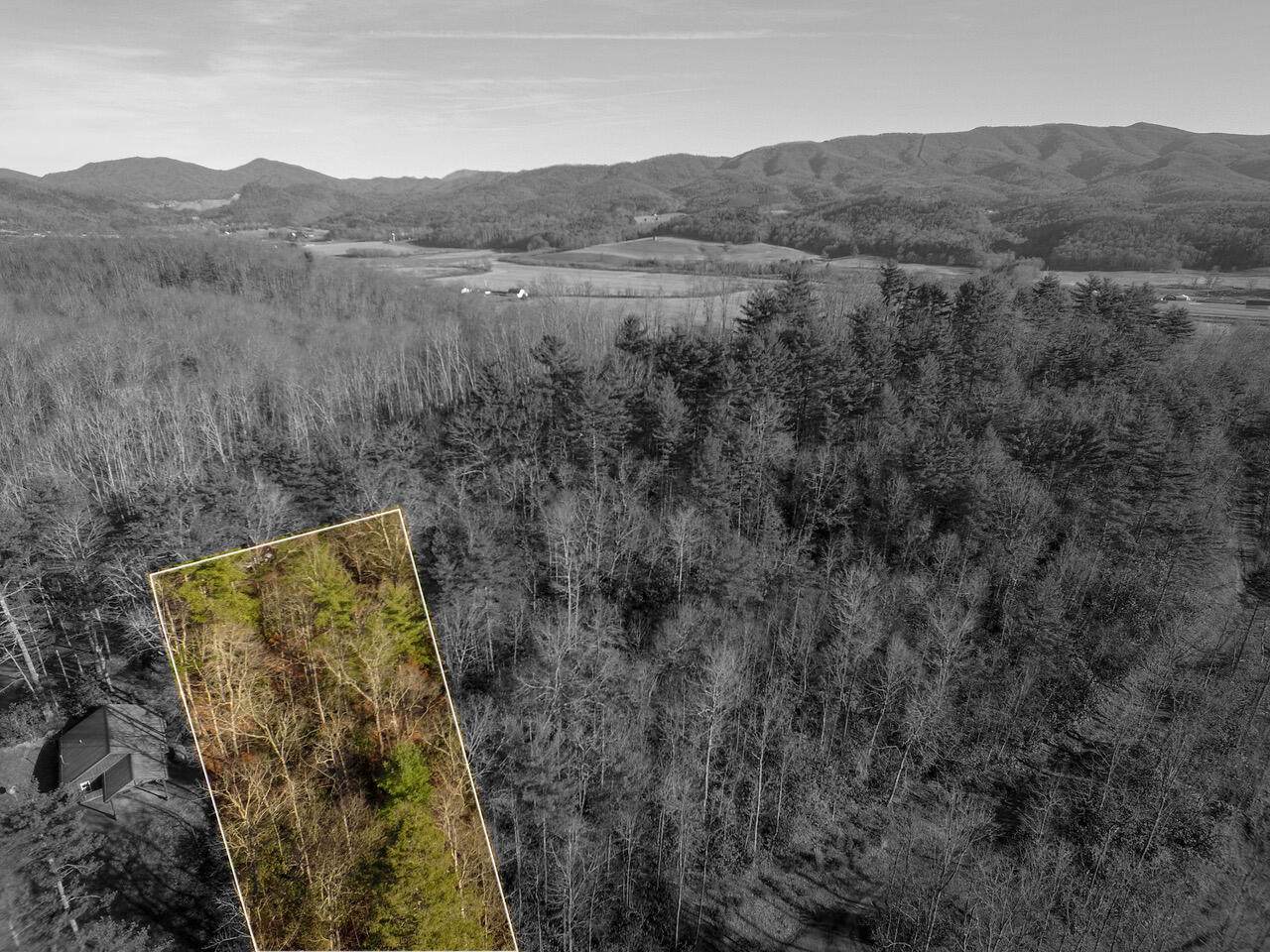 Tbd Blackberry Hill Lane - Photo 1