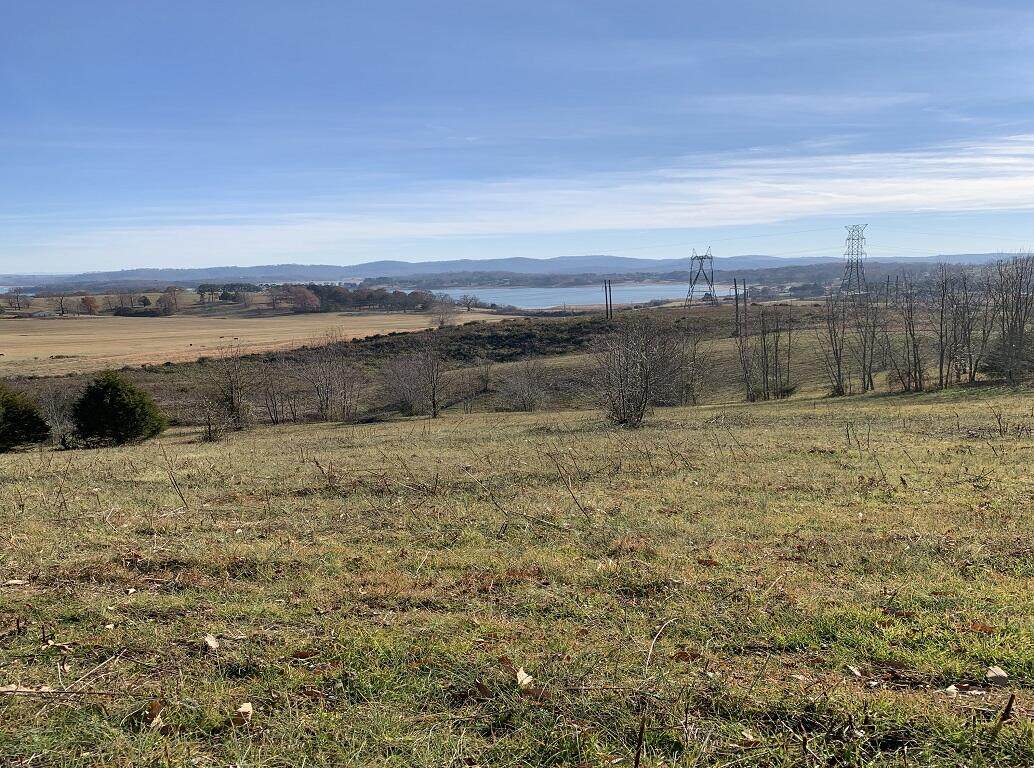 Lot 53, 54 Logan's Bluff - Photo 1