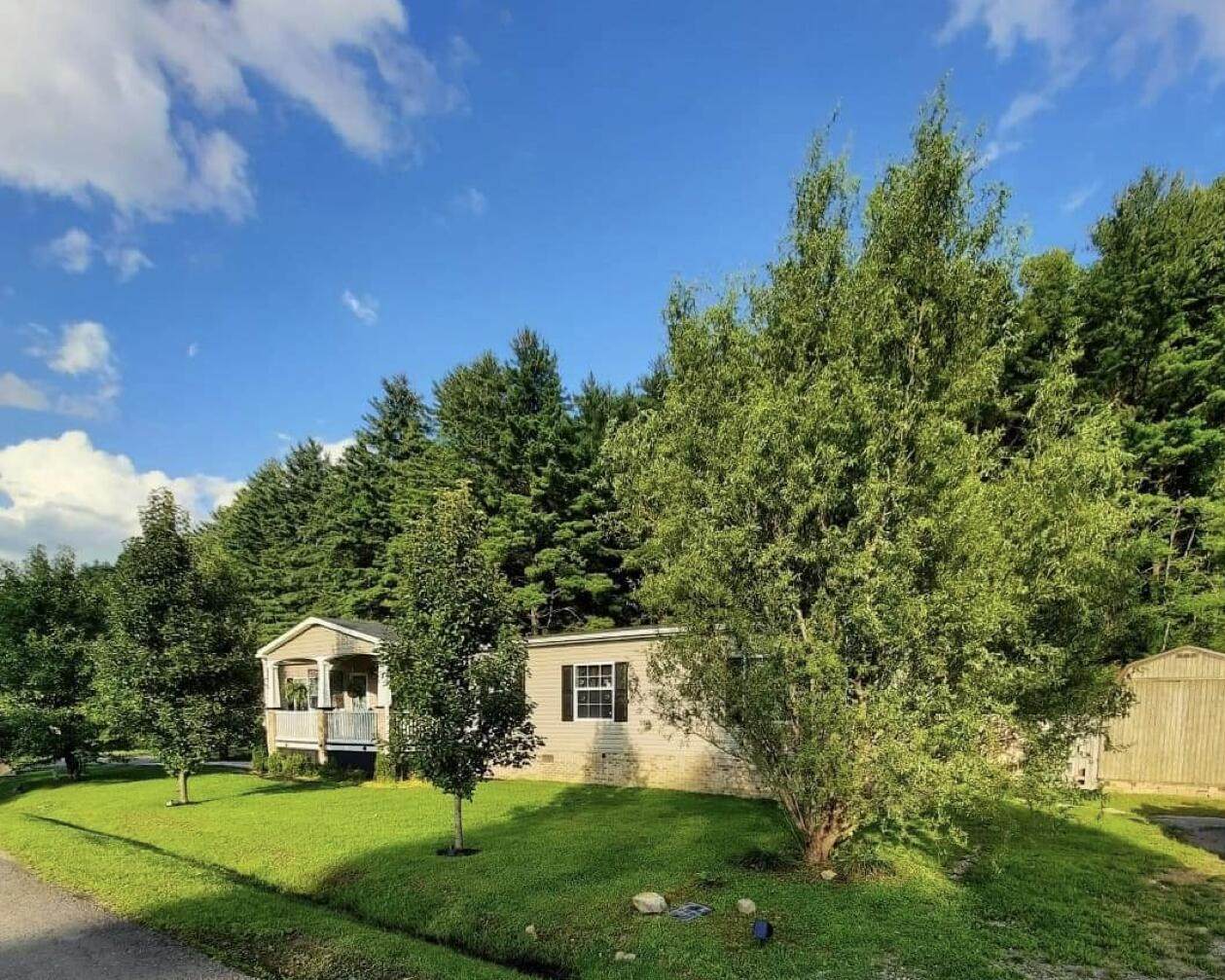 6222 Pinewood Forest Road - Photo 1