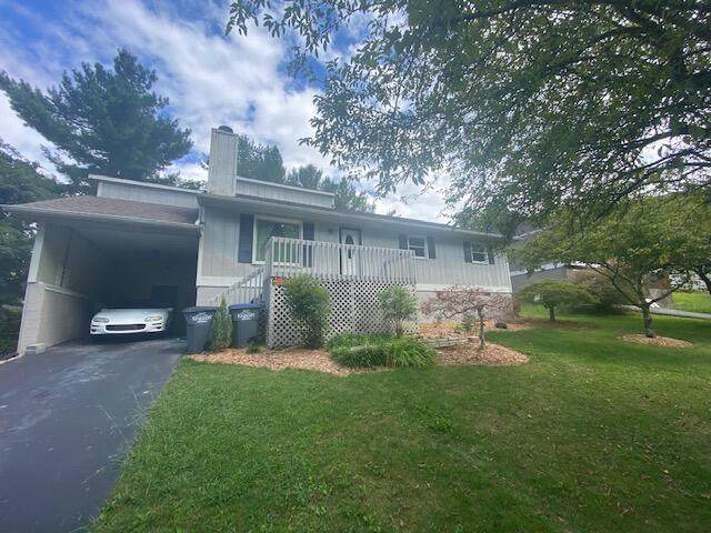 1013 Chippendale Road - Photo 1