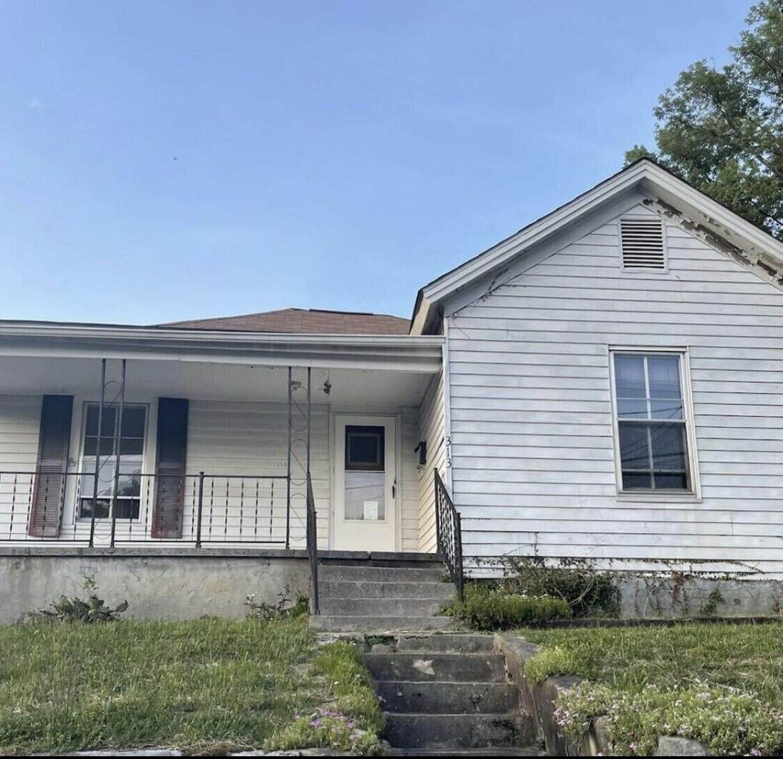 313 Mary Street - Photo 1