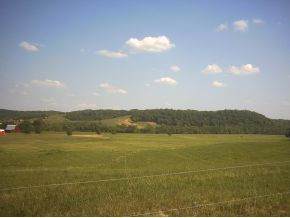 Lot 25 Smelcer Road - Photo 1