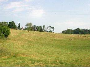Lot 7 Forgety Road - Photo 1