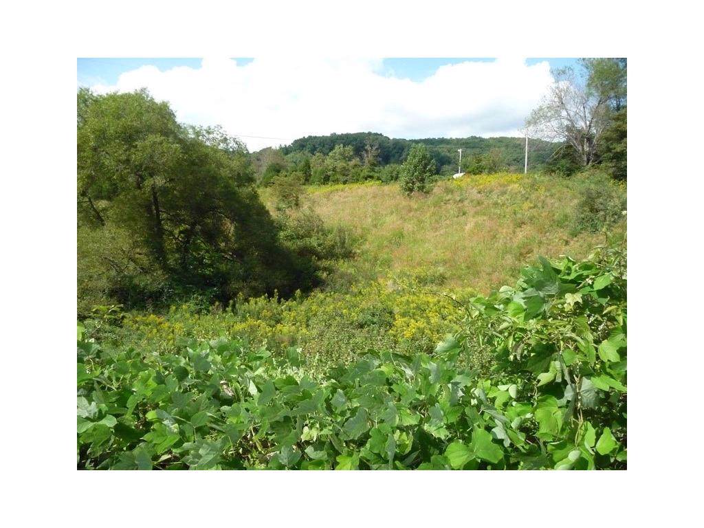Lot 4 Daniel Boone Road - Photo 1
