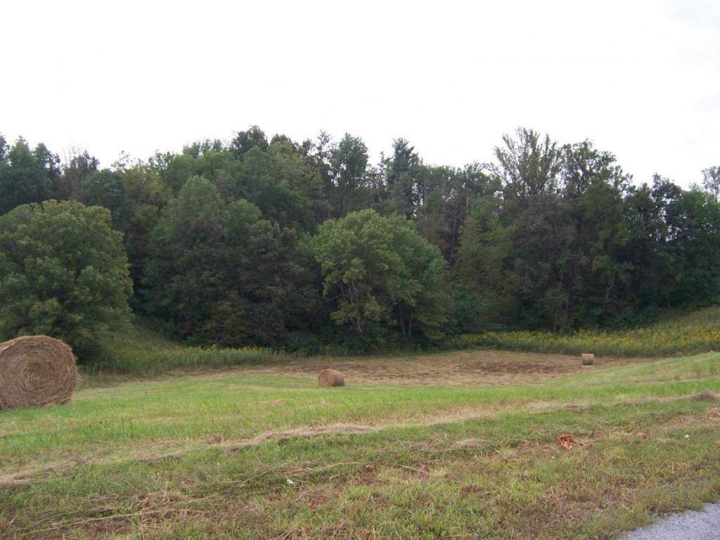 0 Lake Bend Court - Photo 1