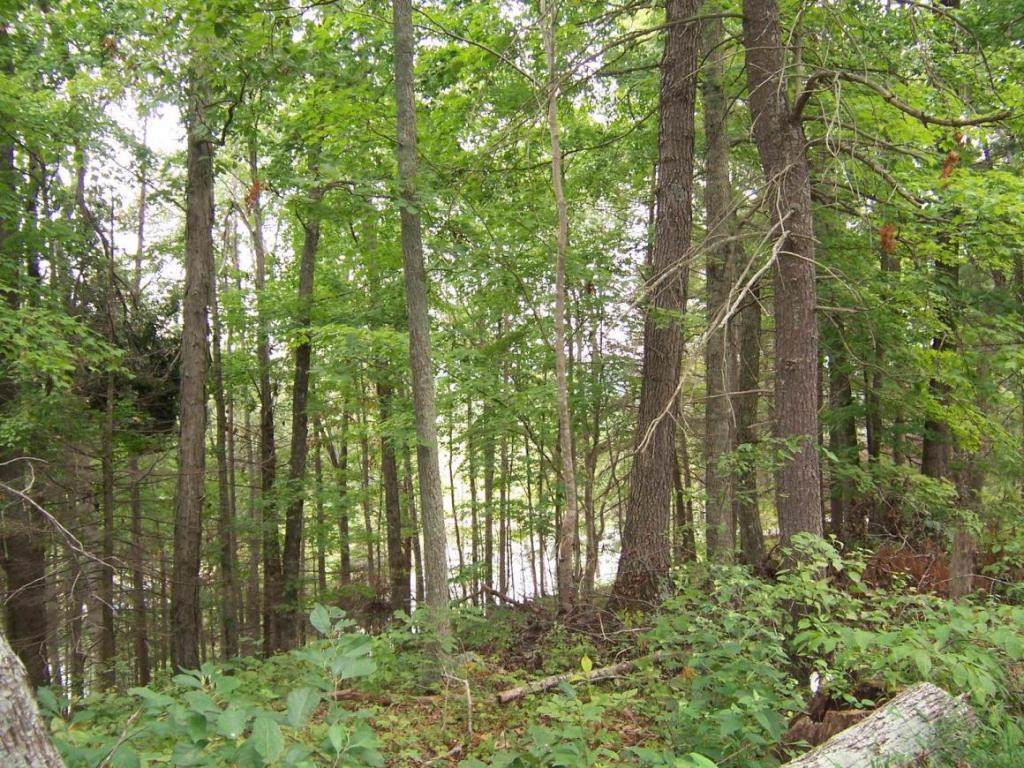 0 Lake Pointe Drive Lots 1 & 1A - Photo 1
