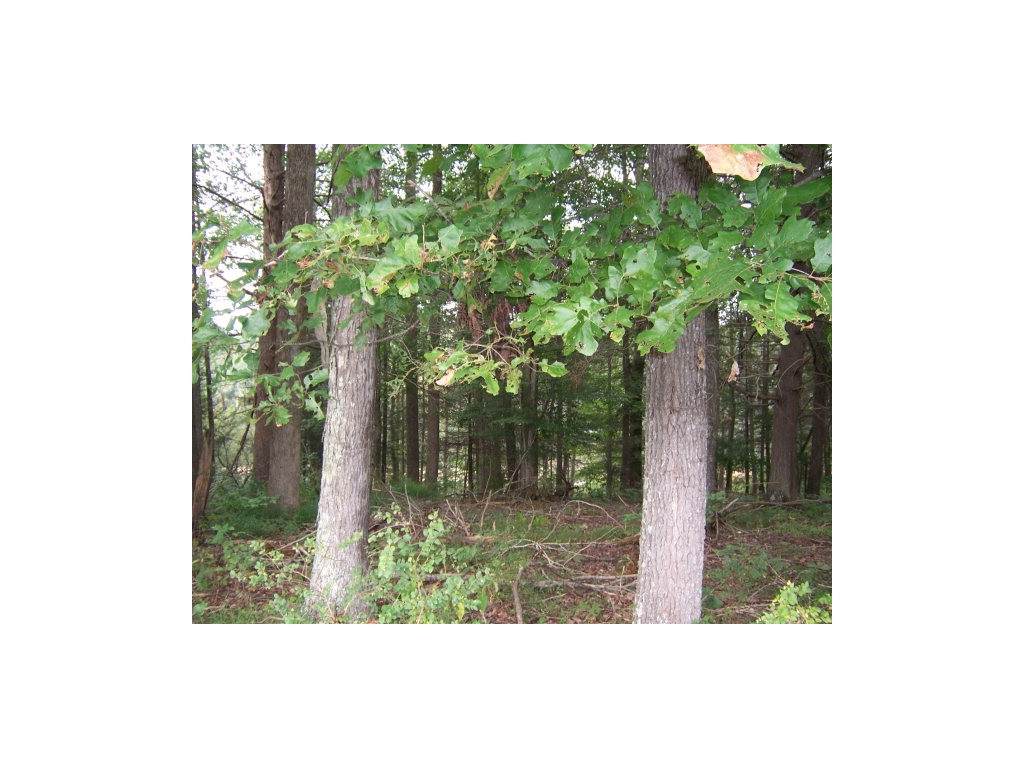 0 Lake Pointe Drive Lots 4 & 4A - Photo 1
