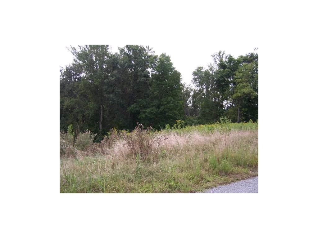 0 Lake Pointe Drive - Photo 1