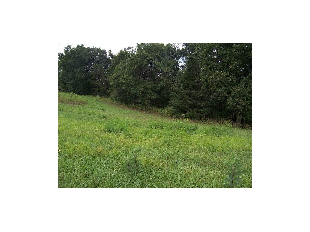 0 Lake Pointe Drive - Photo 1