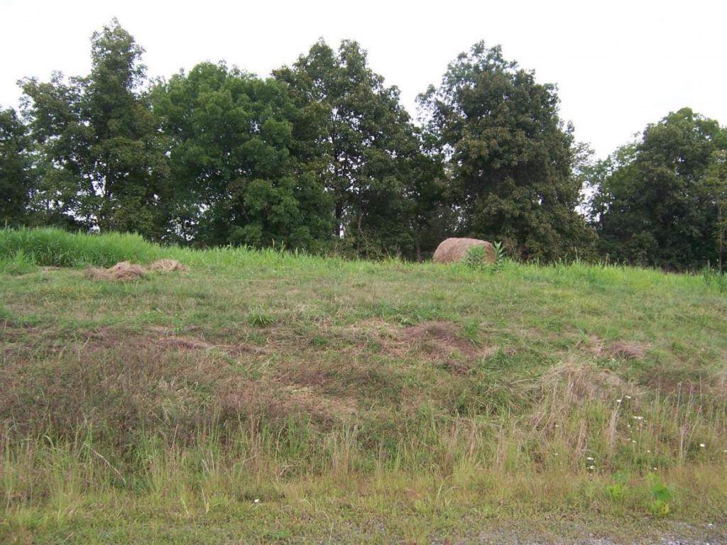 0 Lake Pointe Drive - Photo 1