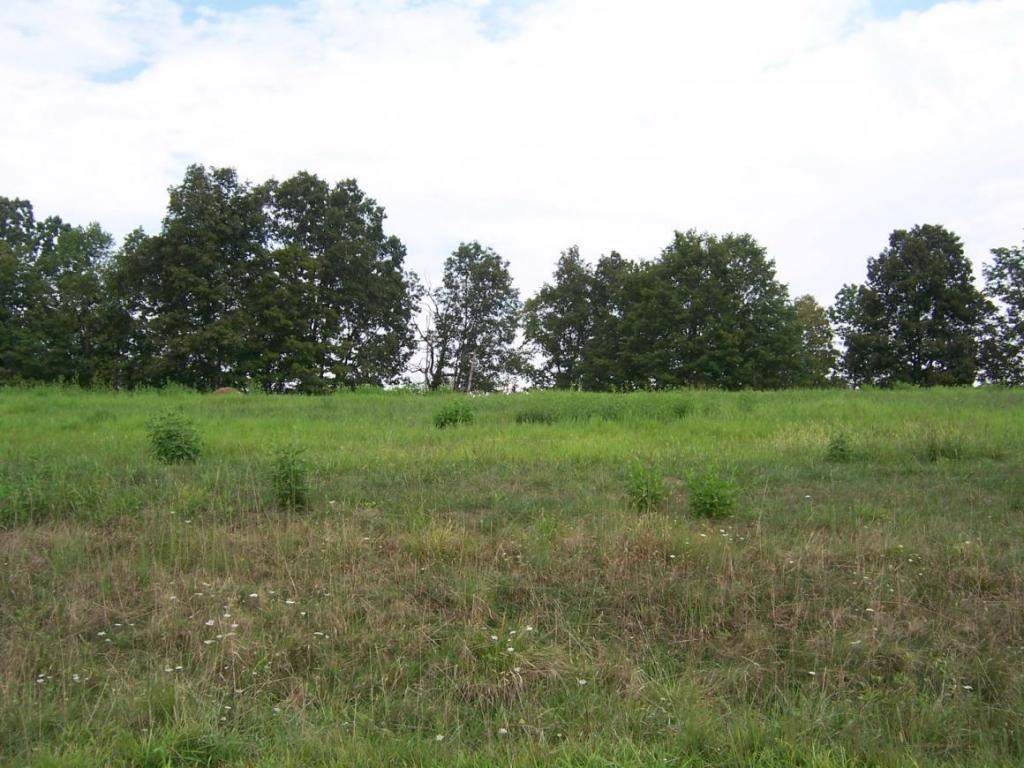 0 Lake Bend Court - Photo 1