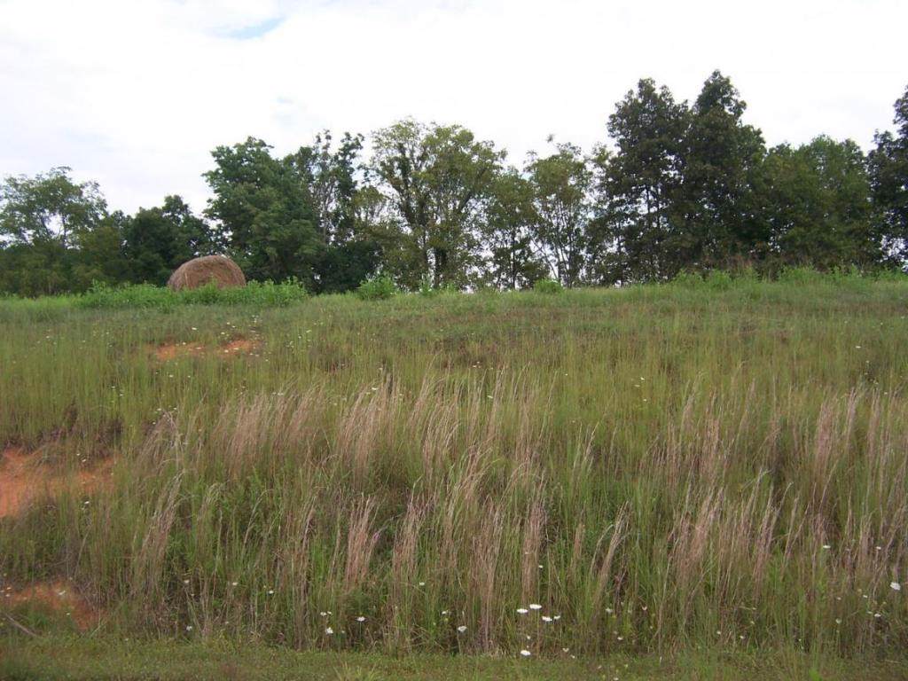 0 Lake Bend Court - Photo 1