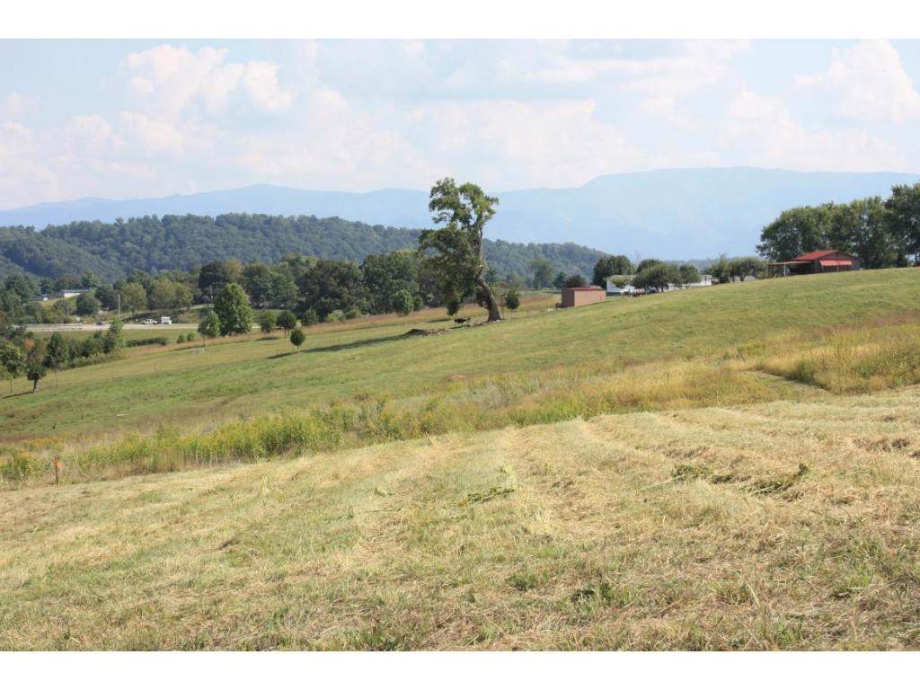 Lot 2 Old Stage Road - Photo 1