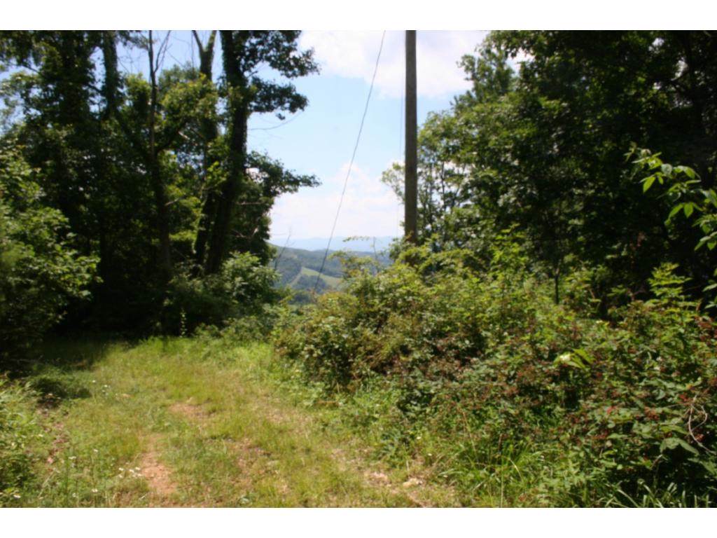 TBD Pinecrest Street - Photo 1