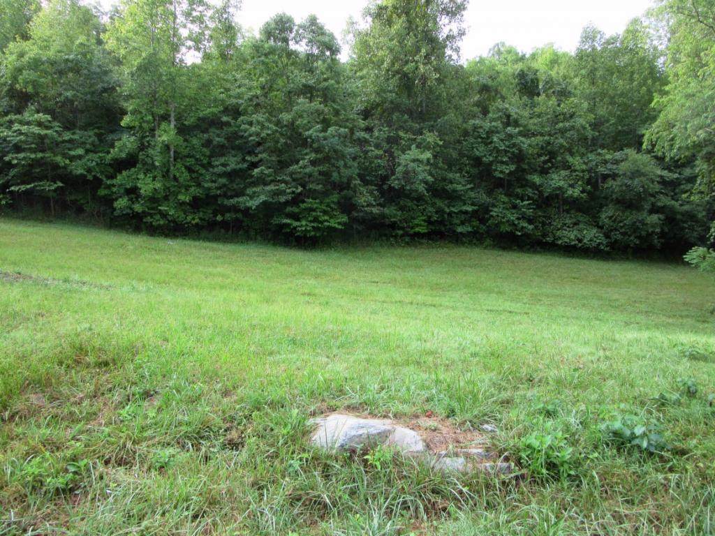 TBD Greenbriar Circle - Photo 1
