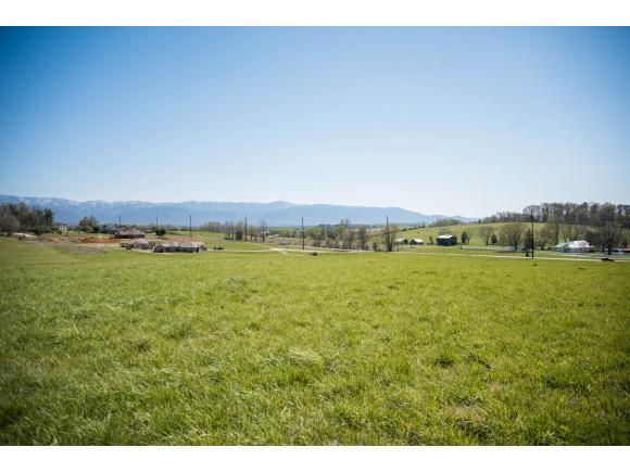 00 Erwin Highway - Photo 1