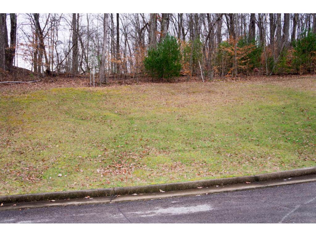 1 Serenity Ridge Trail - Photo 1