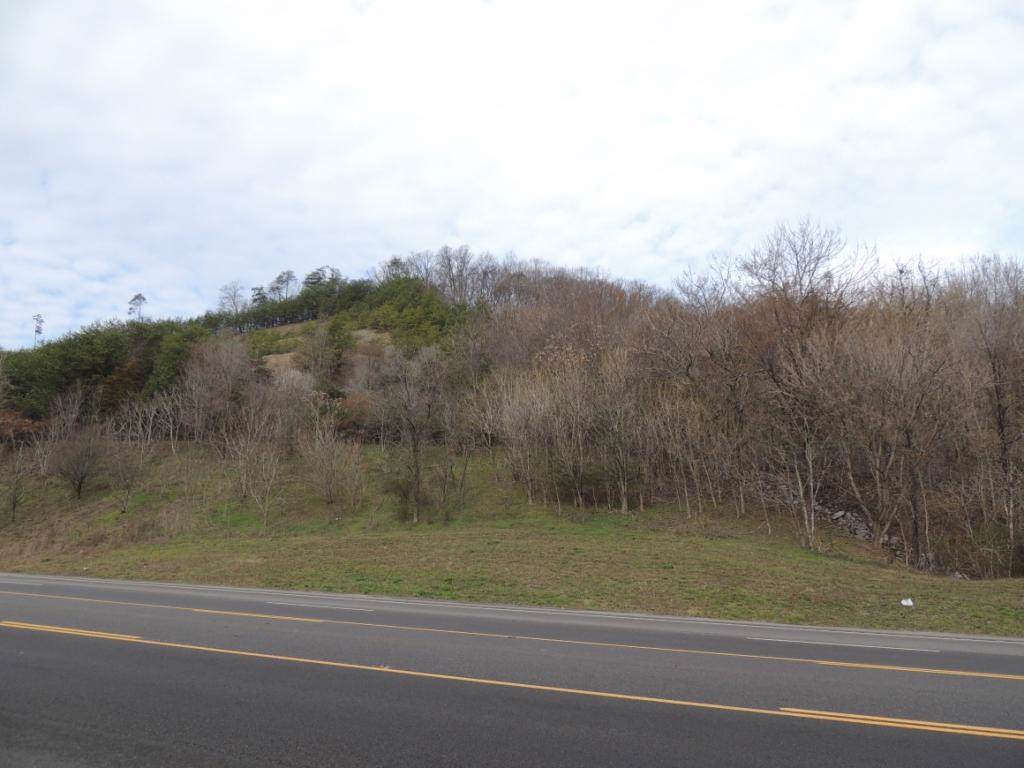 0000 Hwy 11W - Photo 1