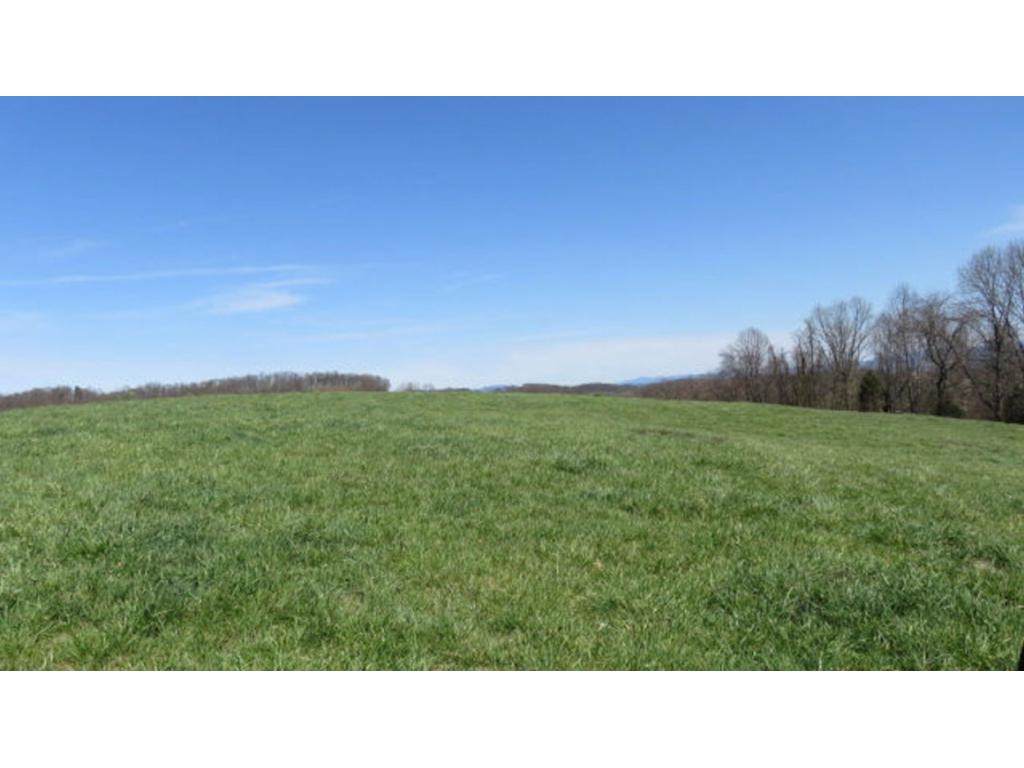 24383 Walden Road - Photo 1 24383 Walden Road - Photo 1