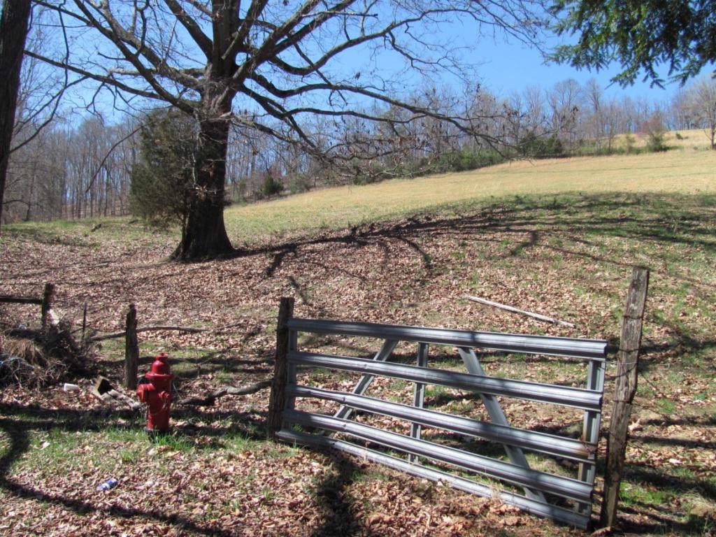 TBD Wild Cherry Lane - Photo 1