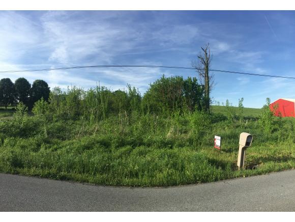 1320 Corby Bridge Road - Photo 1