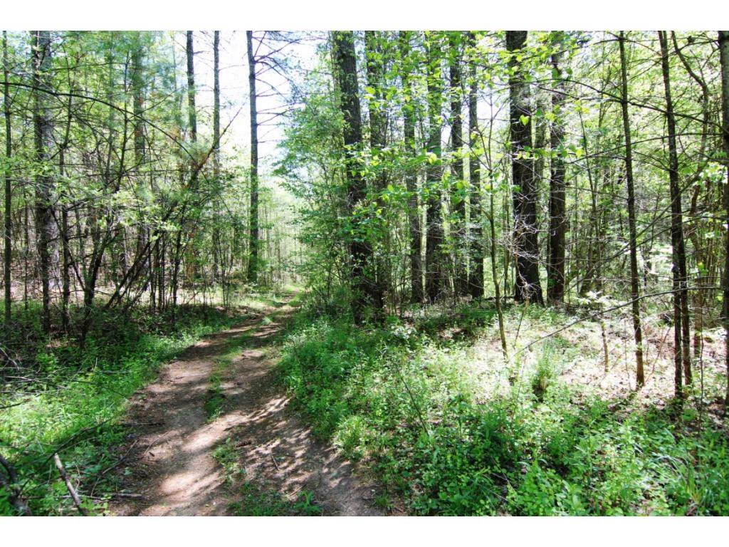 000 Valley View Acres - Photo 1
