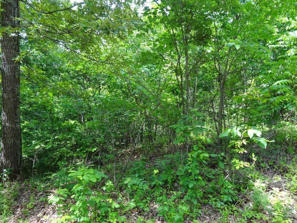 130 J D King Road - Photo 1