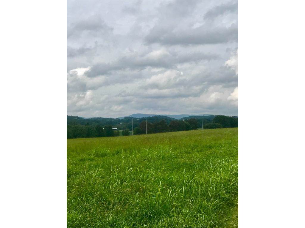0 Quillen Shell Road - Photo 1